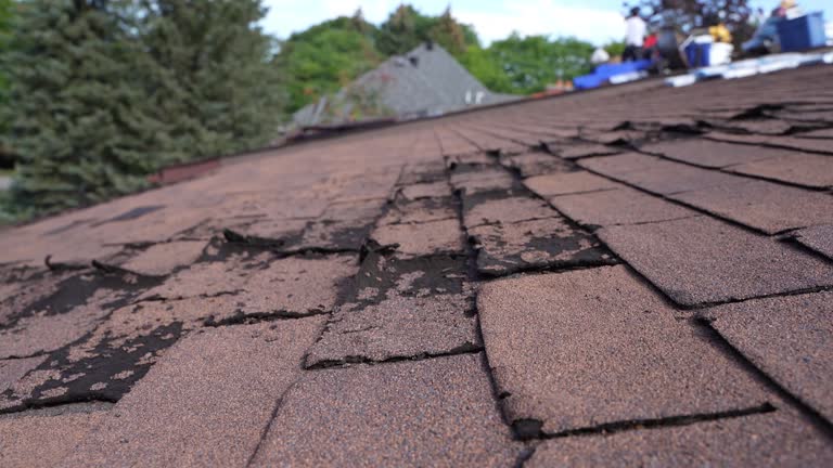 Best Roof Leak Repair  in Thatcher, UT