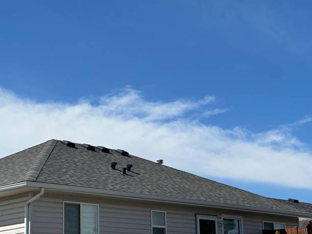 Best Metal Roofing Installation  in Thatcher, UT